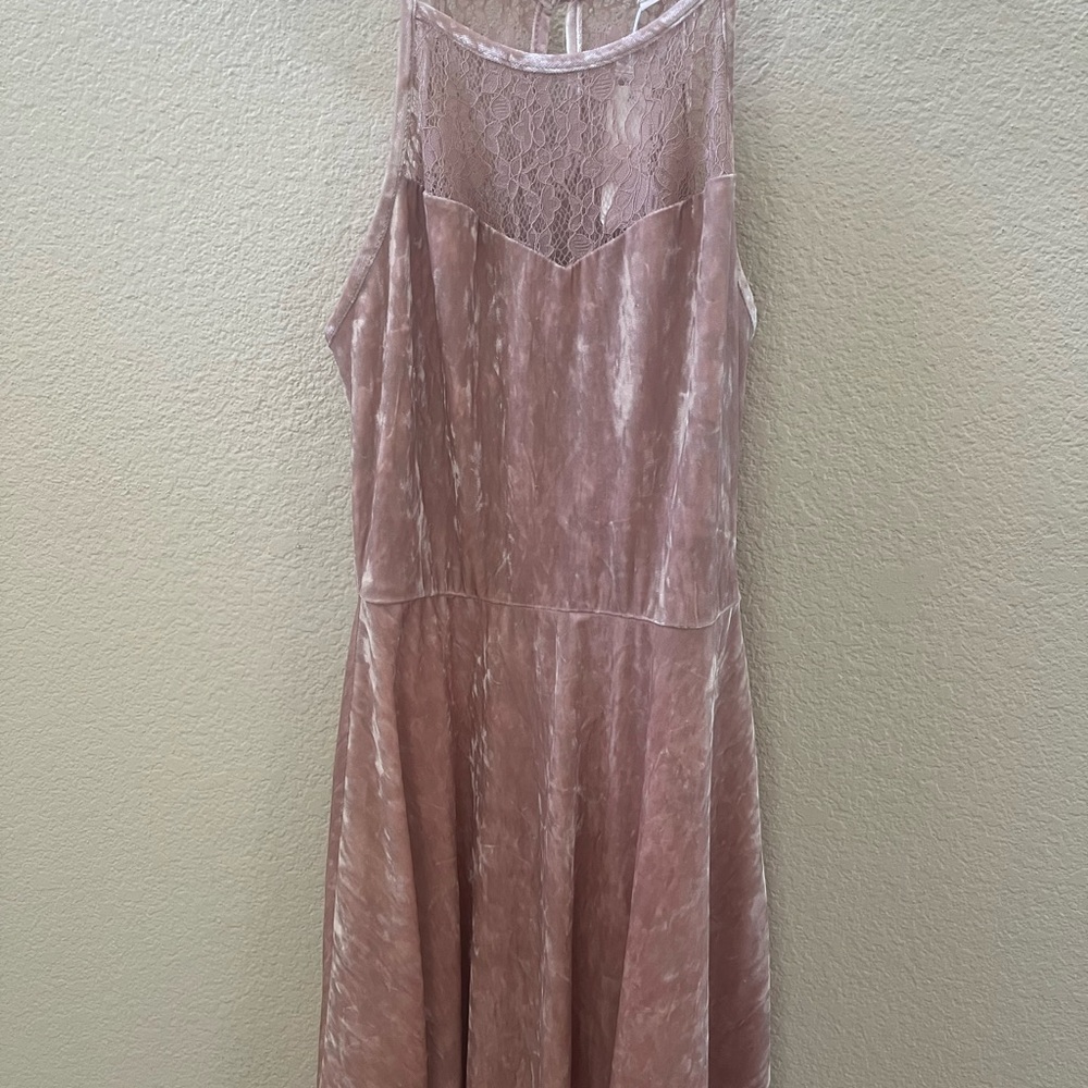 Blush Lace and Velvet Dress